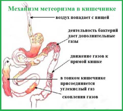 можно ли замораживать дрожжевое тесто любое тесто можно замораживать